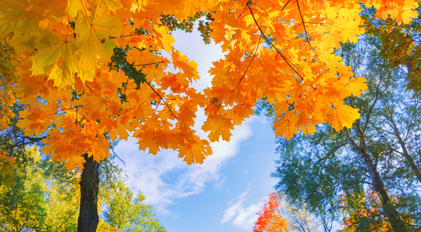 Running in October is about more than training